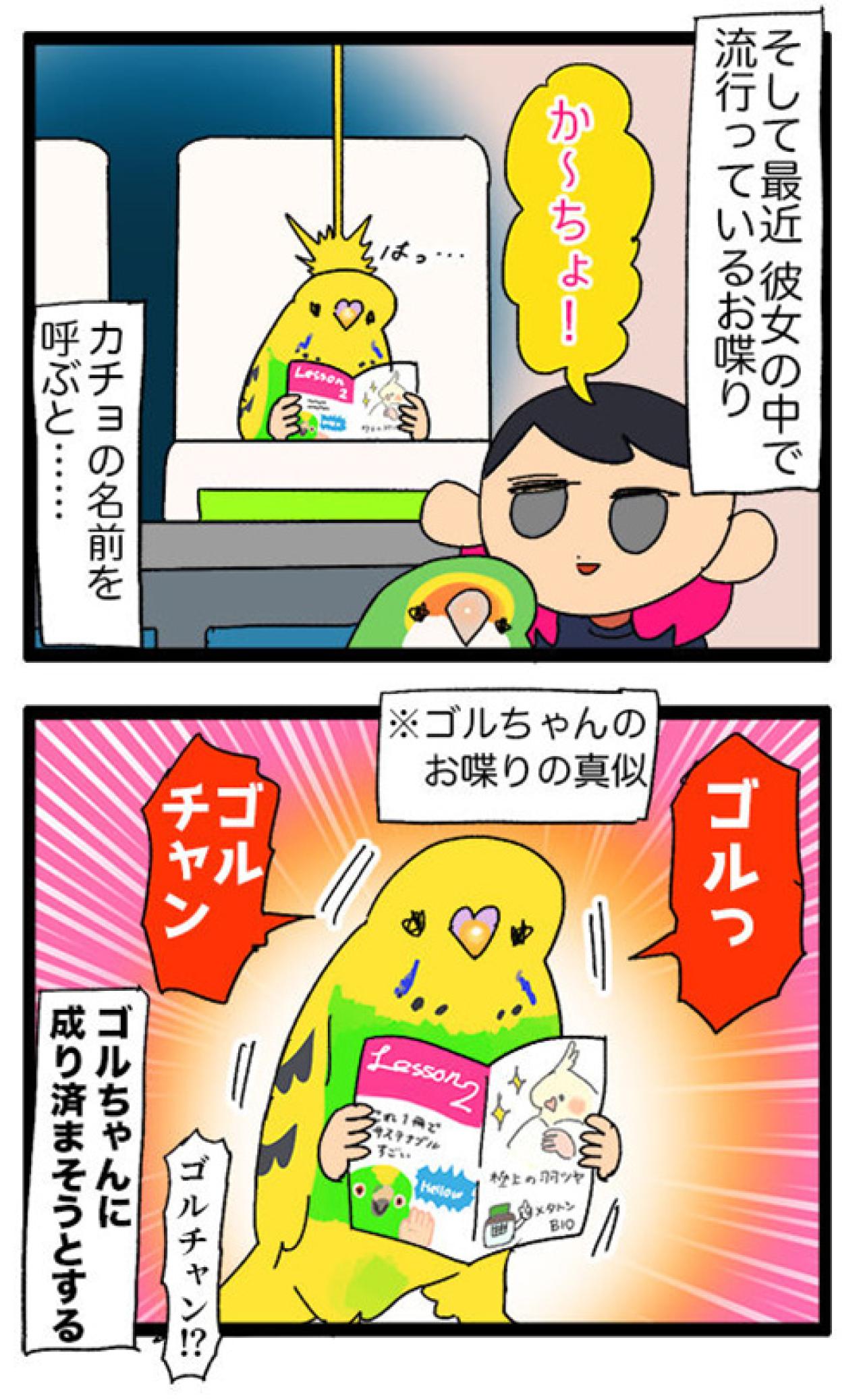 飛んで跳ねて脱走!? 目が離せないインコのハイテンション生活【鳥マンガ #129】（画像7）