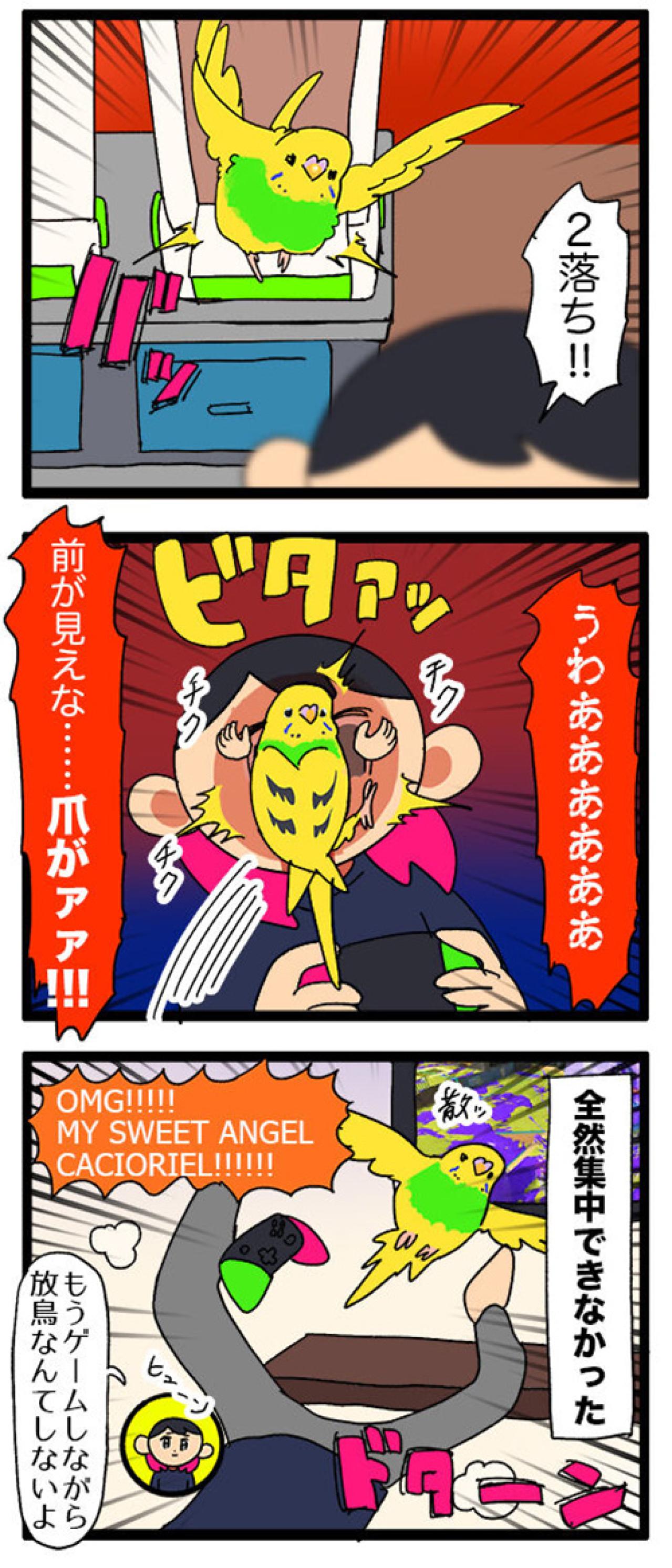 愛しいけど大変すぎる…換羽期と放鳥タイムのリアルな攻防戦【鳥マンガ #130】（画像6）