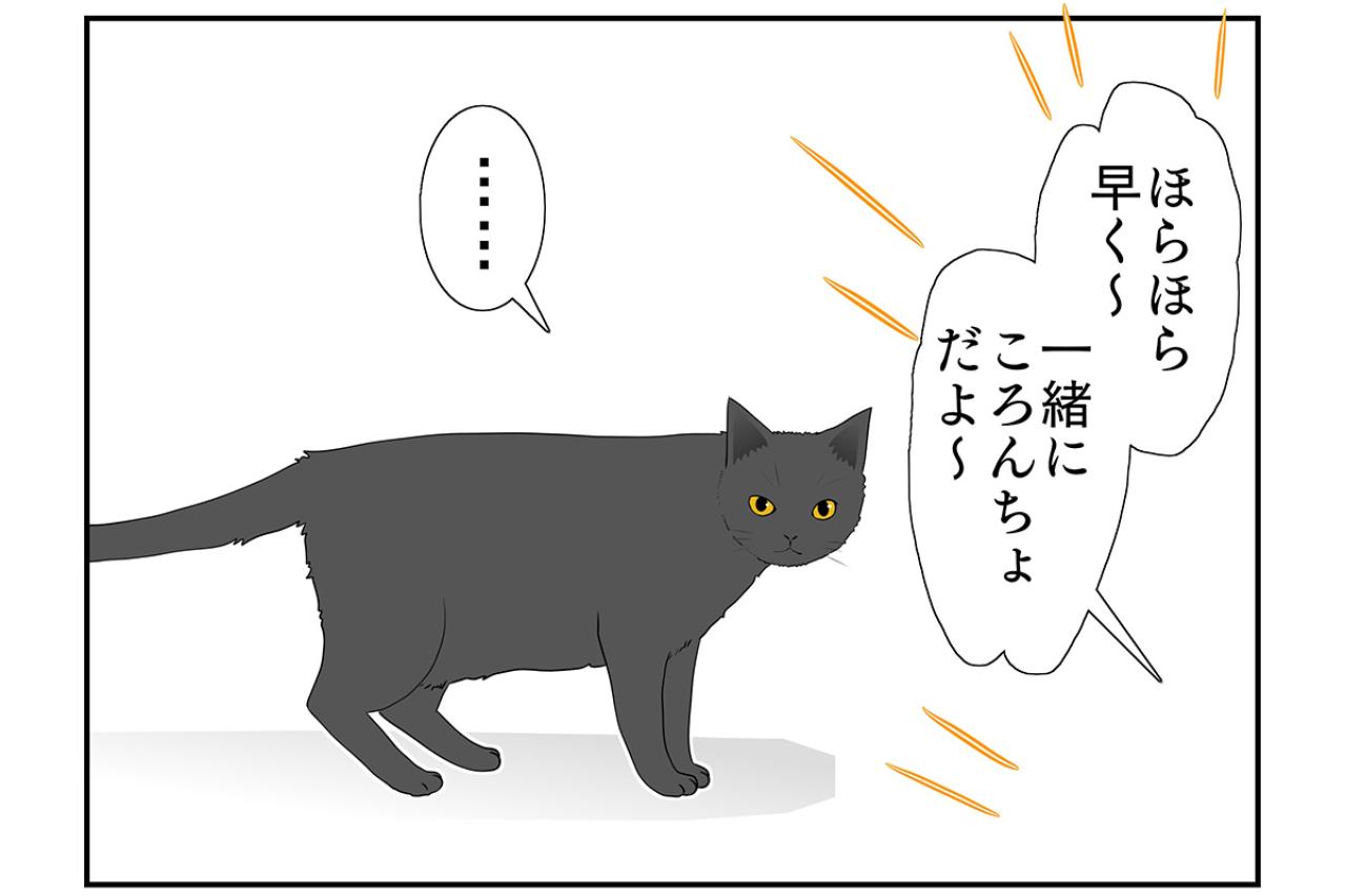 【マンガ・老猫日誌＃24】なぜか寝ない猫…19歳の元保護猫・桃姐