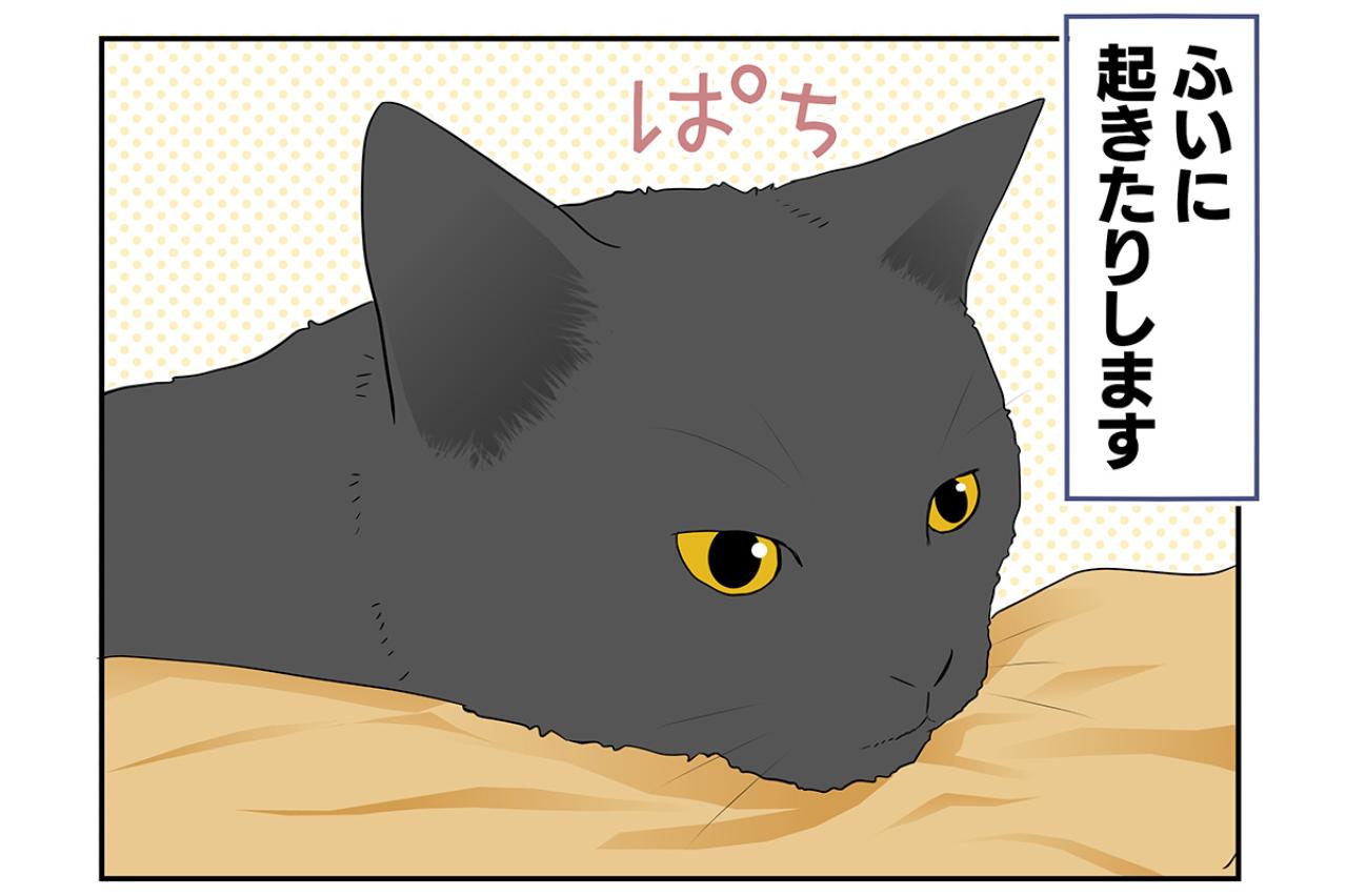 【マンガ・老猫日誌＃23】年々、要望が増えていく猫…19歳の元保護猫・桃姐