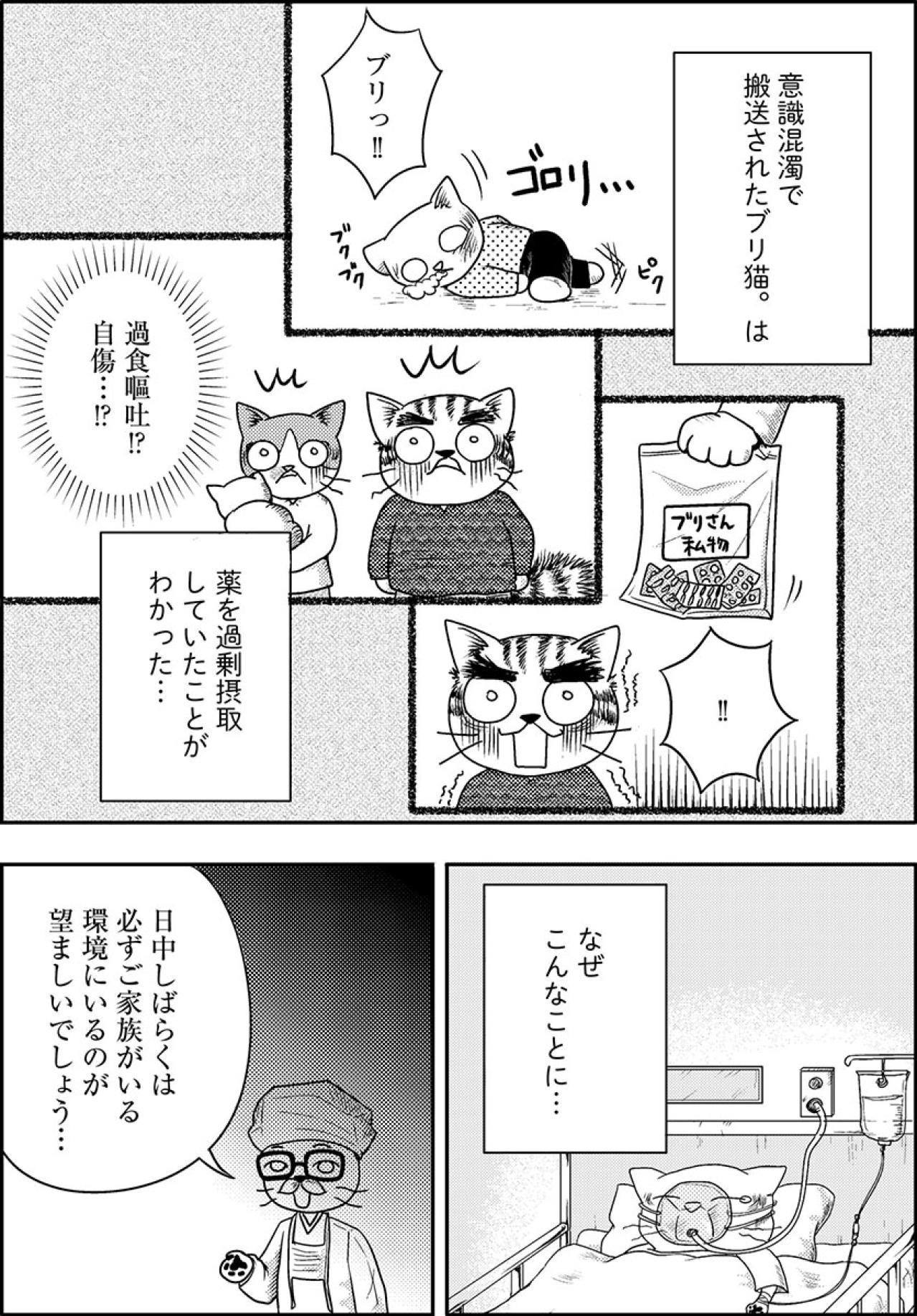 薬を過剰摂取していた娘…。どうするべきか悩む父に母が投げかけた言葉とは…【家族もうつを甘くみてました#4】（画像2）