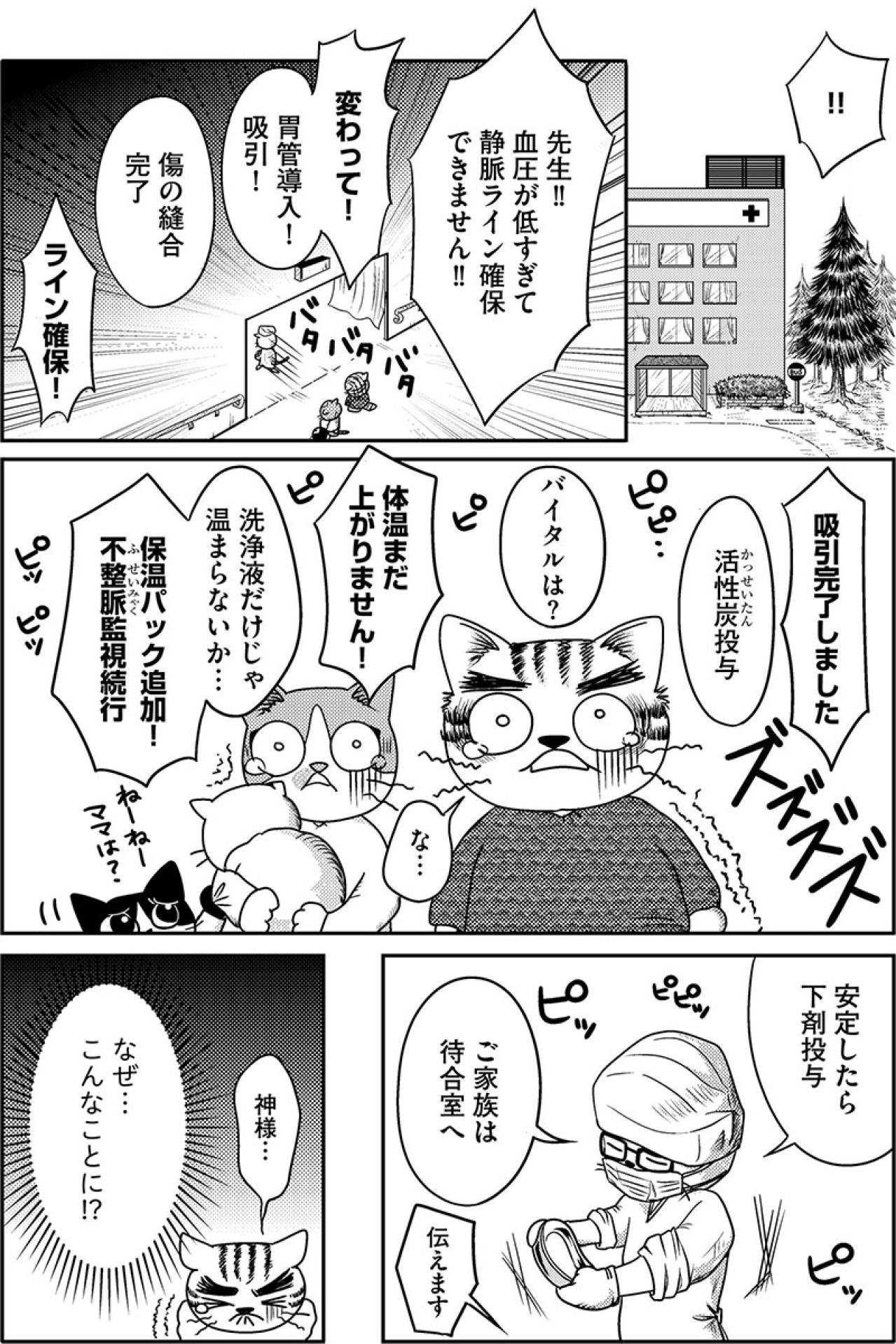 過食嘔吐に自傷行為!?廃人のようになってしまった娘に…一体何があったのか。【家族もうつを甘くみてました#3】（画像2）