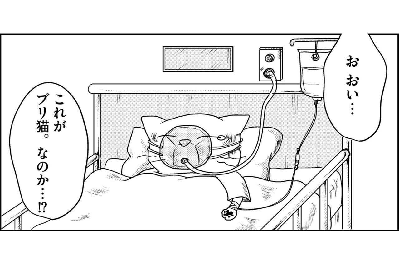 過食嘔吐に自傷行為!?廃人のようになってしまった娘に…一体何があったのか。【家族もうつを甘くみてました#3】