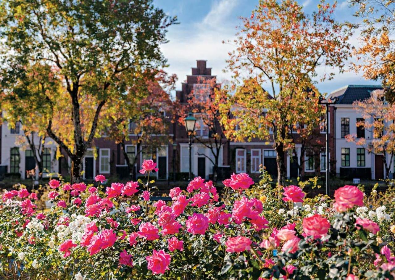 秋の絶景スポット！「ひらかたパーク」＆「ハウステンボス」で楽しむおすすめバラ園巡り（画像9）