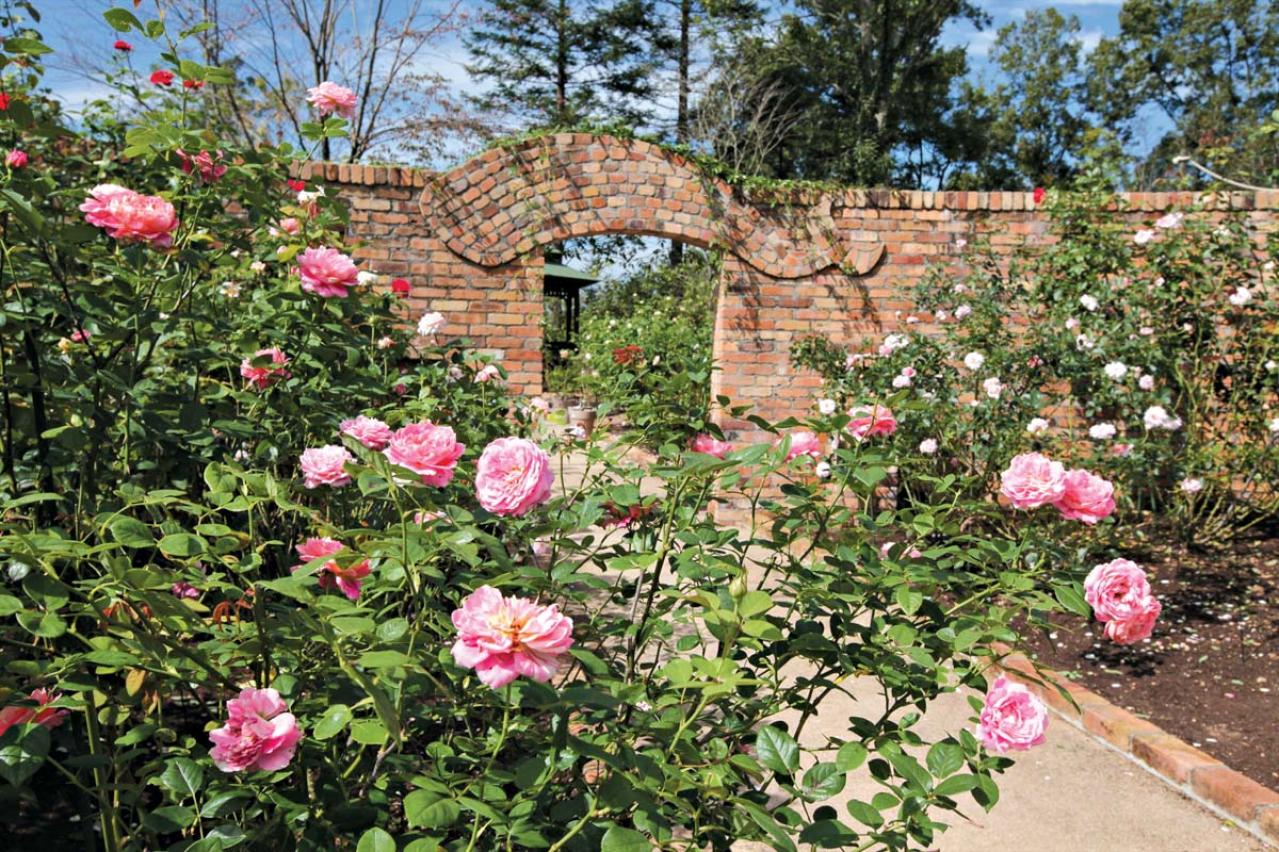 咲き誇る秋バラが圧巻！ 中部エリアの【バラ園】2選。ローズスタイリスト・大野耕生さん監修のスポットも紹介