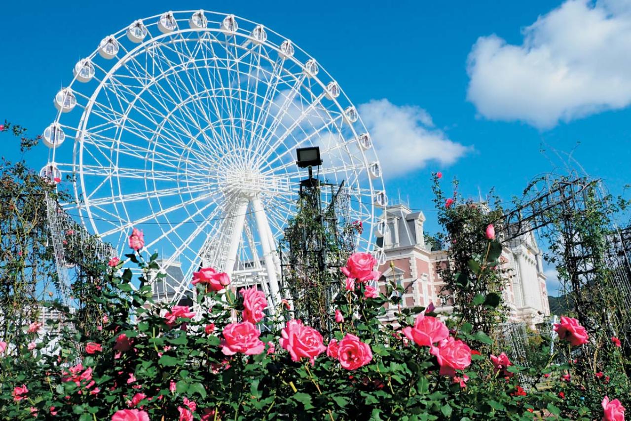 秋の絶景スポット！「ひらかたパーク」＆「ハウステンボス」で楽しむおすすめバラ園巡り（画像10）