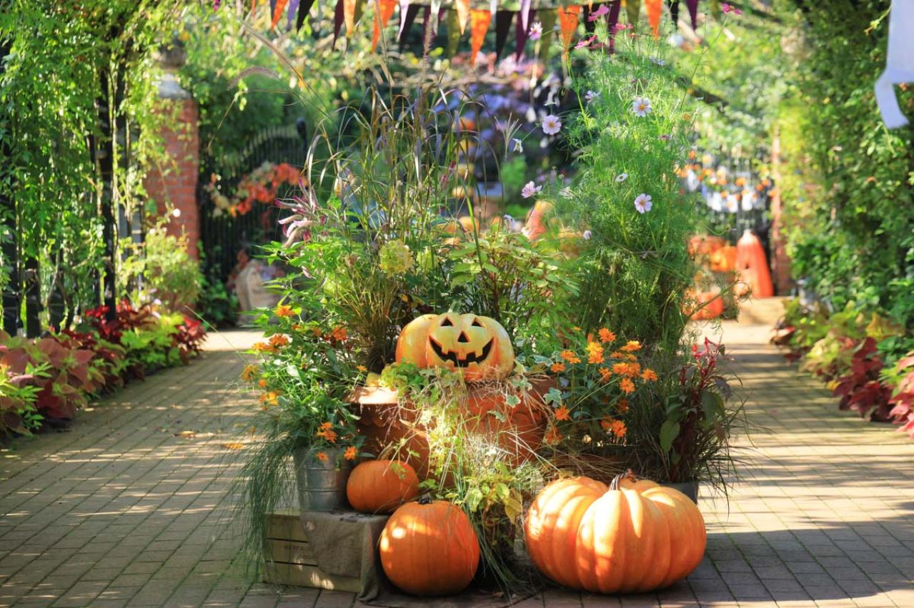 10月中旬から花の見頃を迎える【関東の絶景バラ園】2選｜バラのプロがおすすめ（画像6）