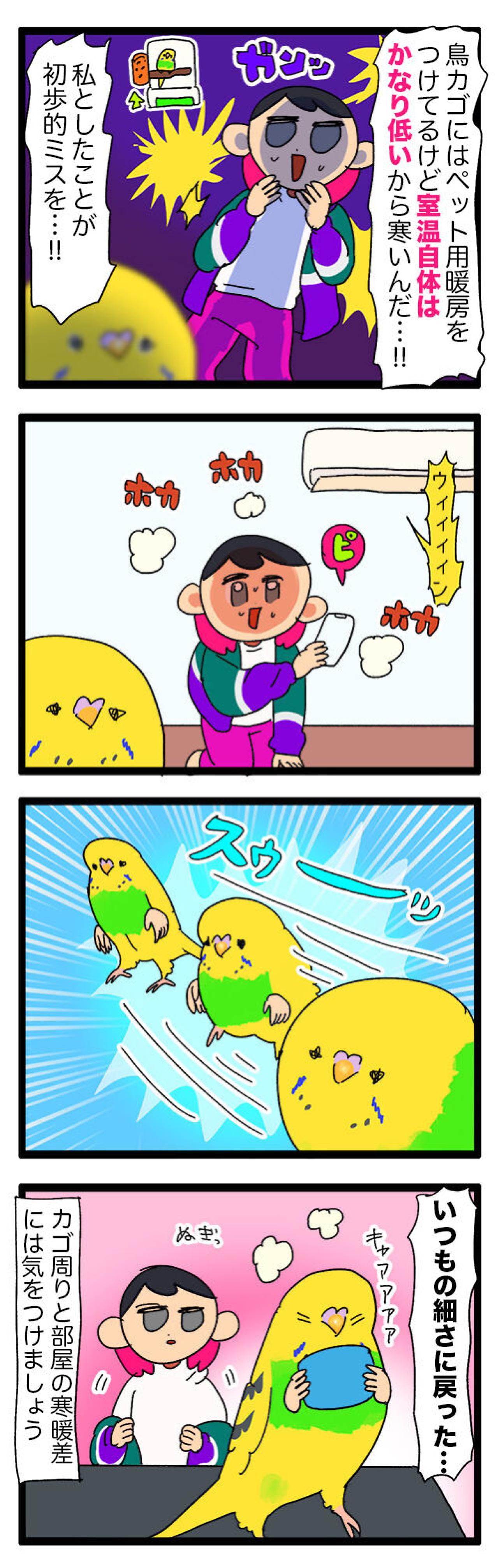 スマホ占拠にふくらみ姿も！インコ・カチョリエルのほっこり毎日【鳥マンガ #131】（画像5）
