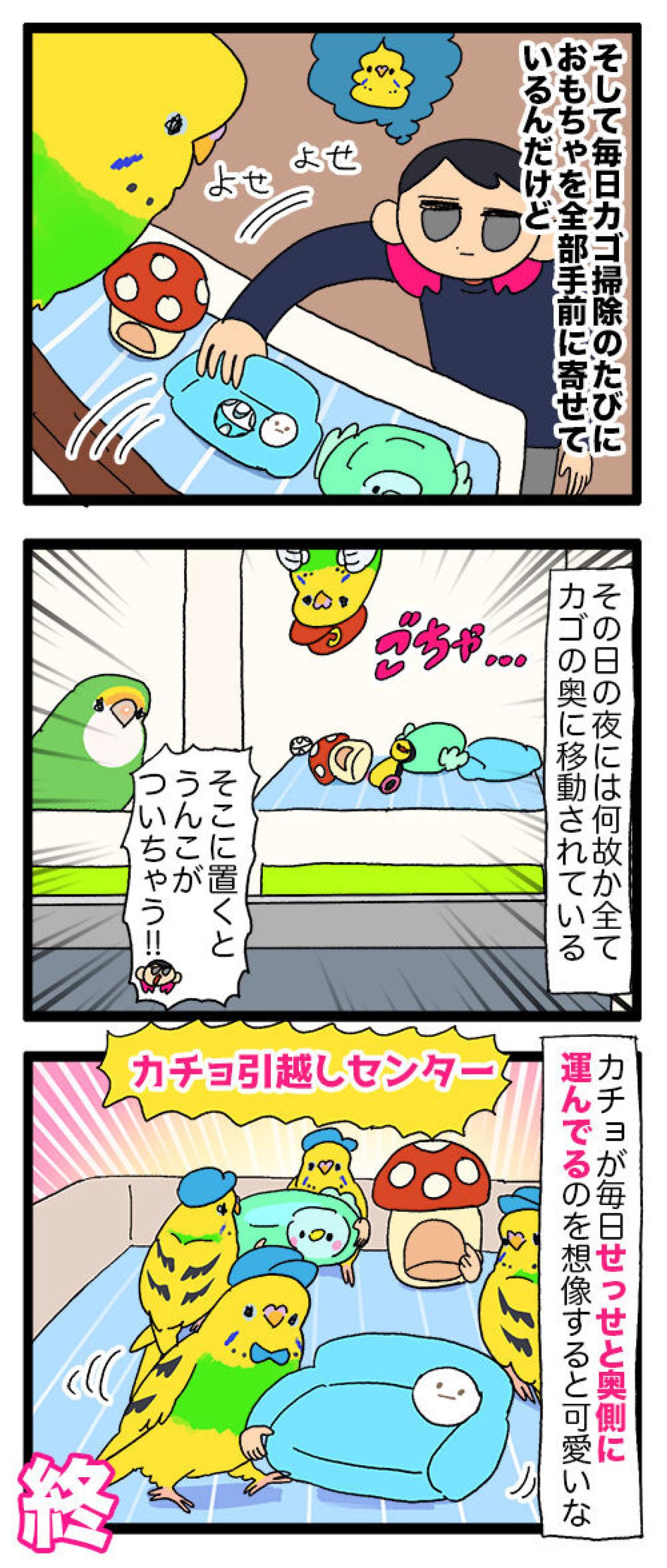 セキセイインコが引越し業者に！？カチョが毎日せっせと励んでいること【鳥マンガ #134】（画像6）