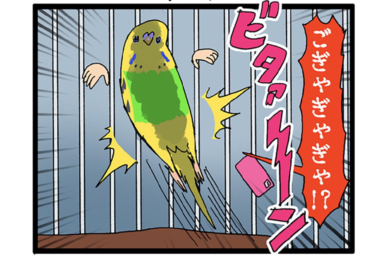 掃除機の爆音にビビる？インコ・カチョ、音怖克服チャレンジ【鳥マンガ #132】