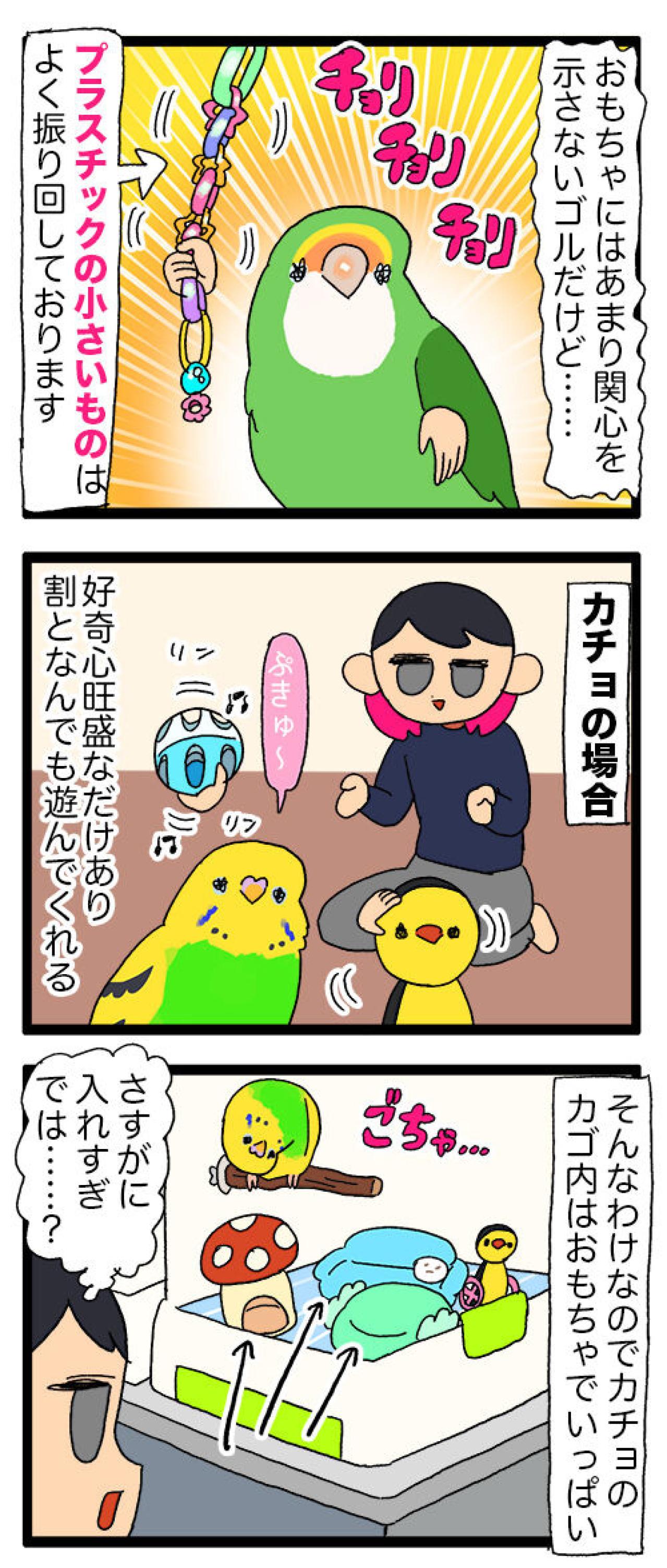 セキセイインコが引越し業者に！？カチョが毎日せっせと励んでいること【鳥マンガ #134】（画像5）