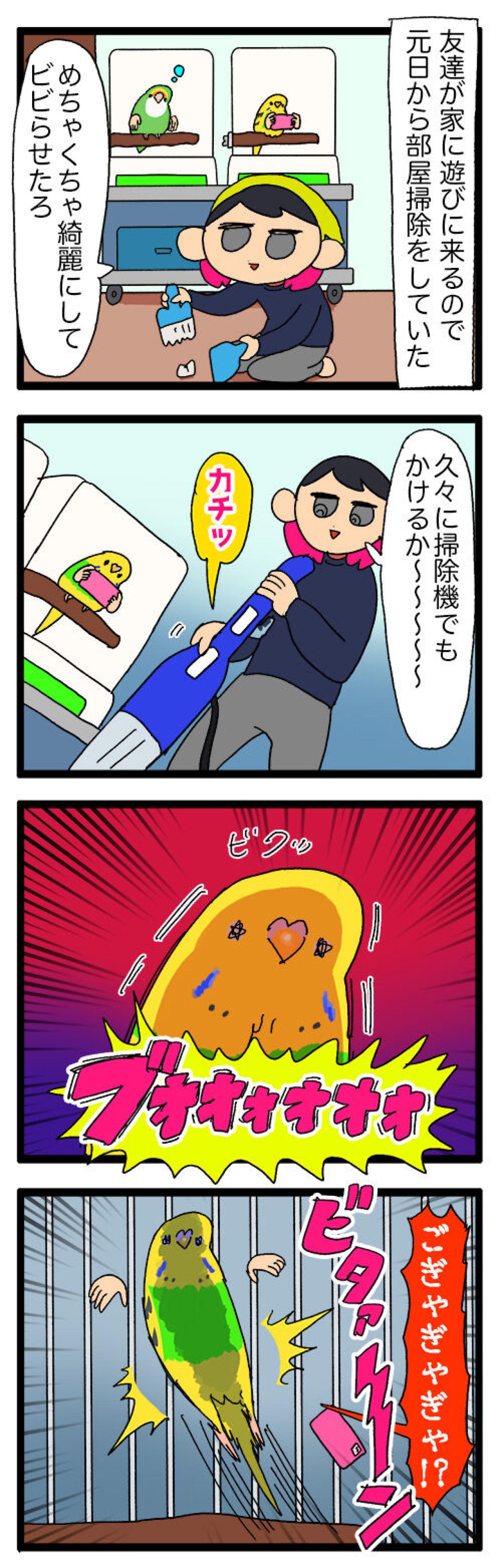 掃除機の爆音にビビる？インコ・カチョ、音怖克服チャレンジ【鳥マンガ #132】（画像6）