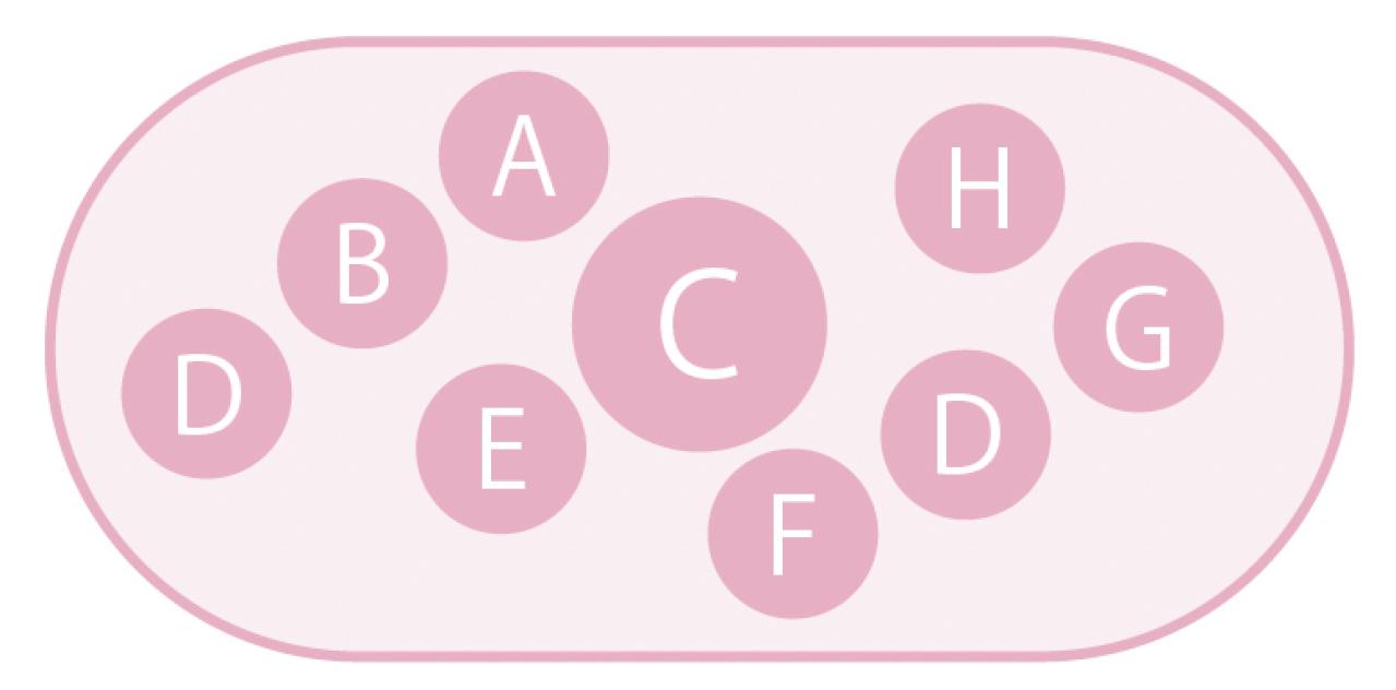 キュートな花かご風の【ビオラの寄せ植え】個性豊かな育種家ビオラで庭を彩る（画像6）