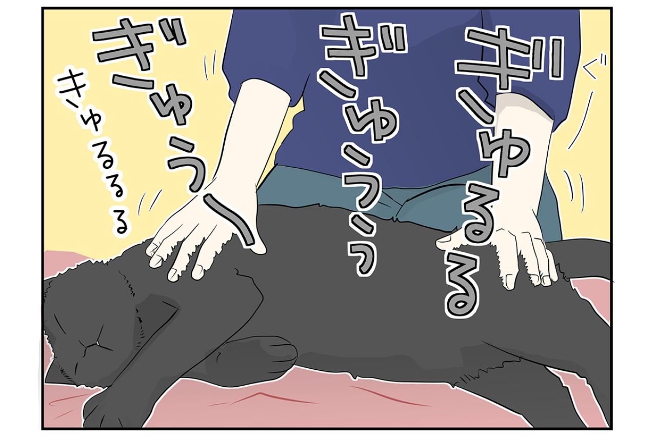 【マンガ・老猫日誌＃31】共鳴する猫と飼い主…19歳の元保護猫・桃姐