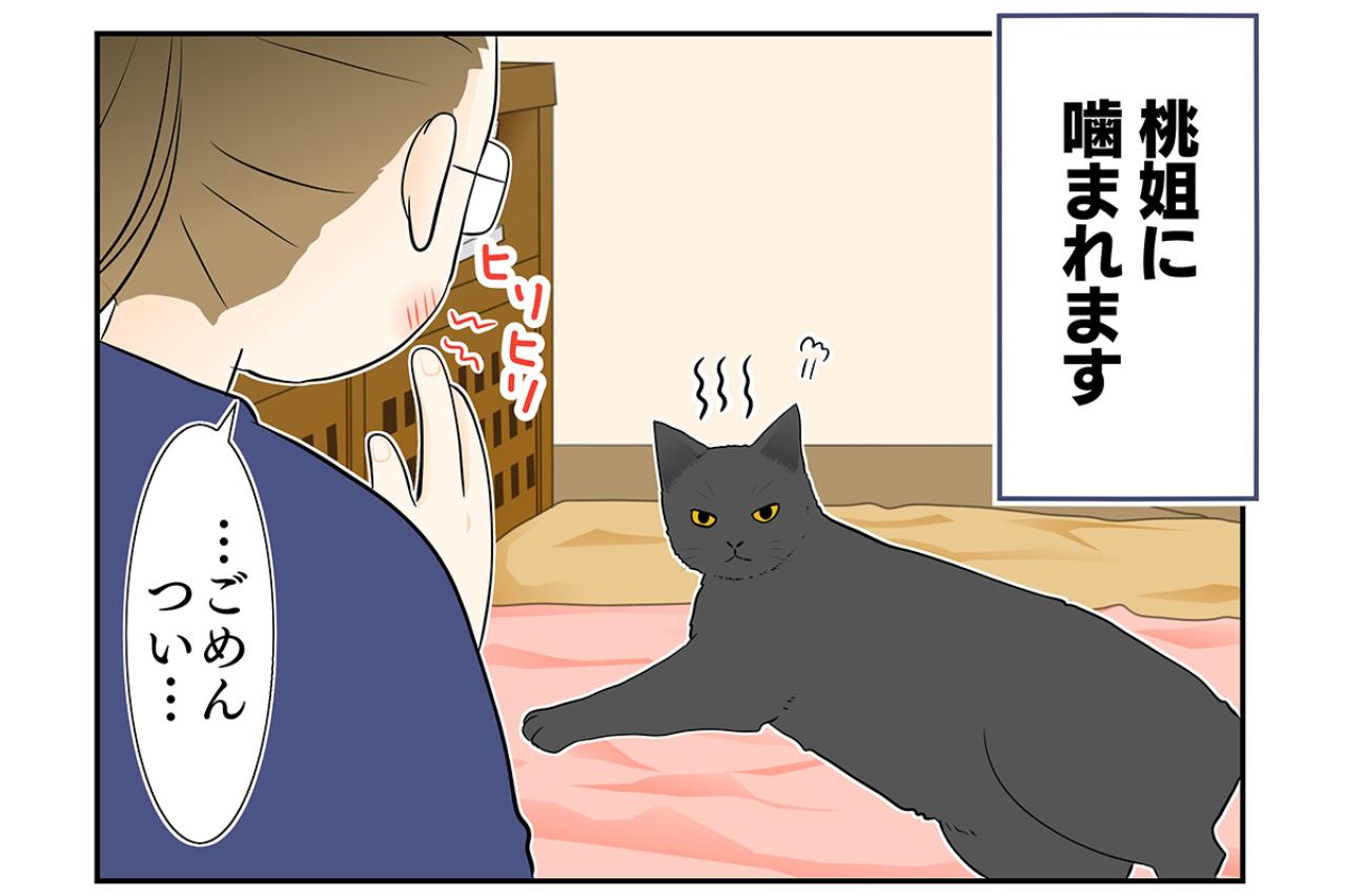 【マンガ・老猫日誌＃27】健康のバロメーターは「ペロペロ」。19歳の元保護猫・桃姐