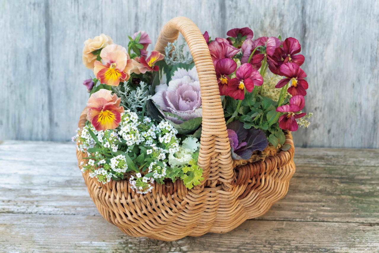 まるで花束のような【パンジー・ビオラの寄せ植え】持ち手つきのバスケットでプレゼントにも◎