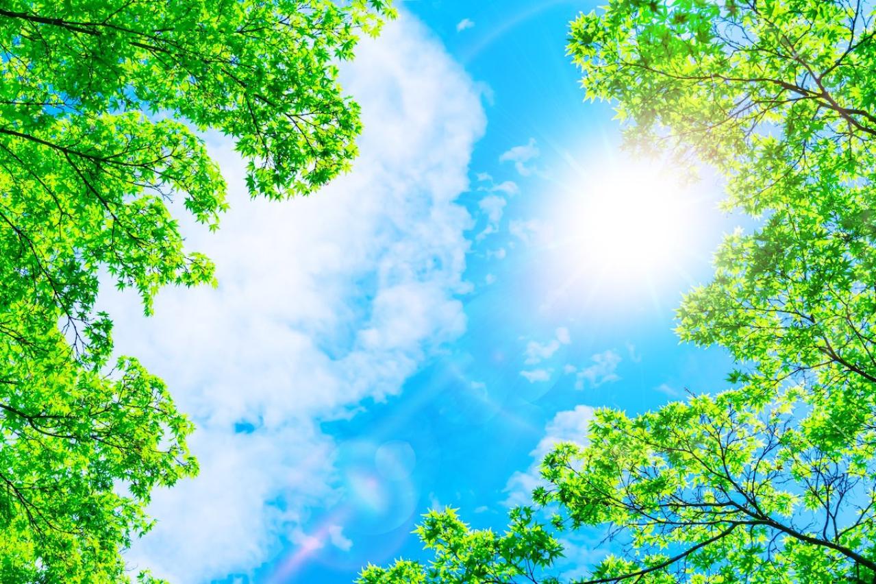 【ゆうゆうエッセイ大賞】テーマ「もしもタイムマシーンがあったら」佳作受賞作品を全公開！