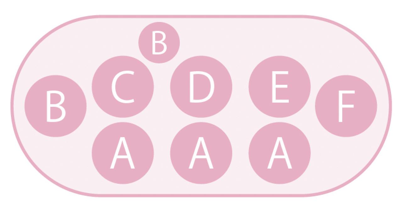 低木との組み合わせが素敵！【ビオラの寄せ植え】ナチュラルな雰囲気を春まで楽しむ（画像4）