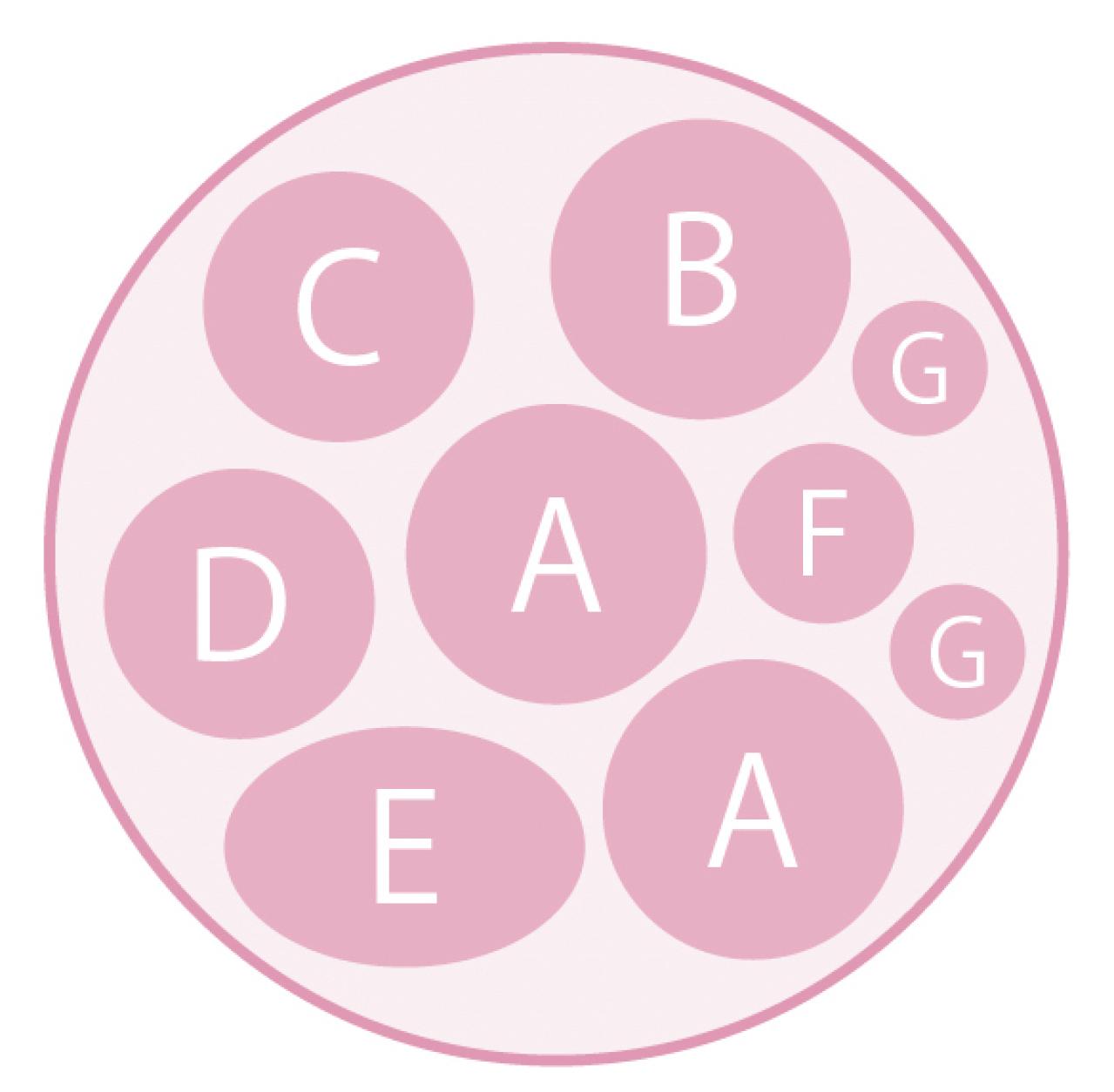 低木との組み合わせが素敵！【ビオラの寄せ植え】ナチュラルな雰囲気を春まで楽しむ（画像10）