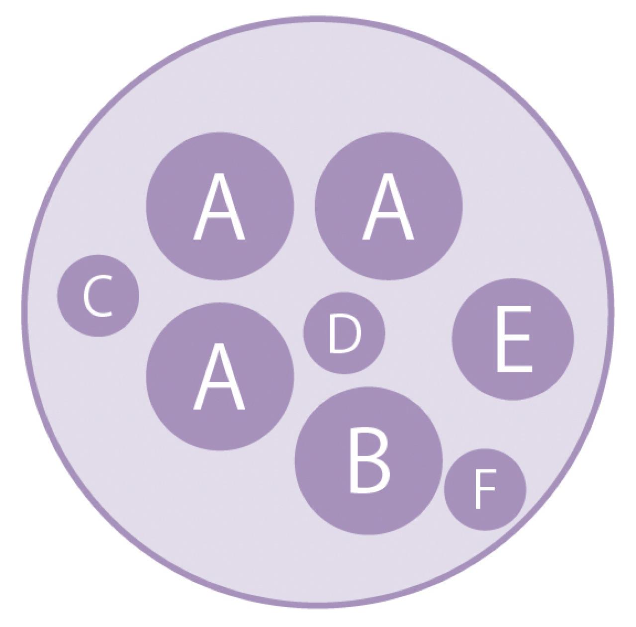 まるで花束のような【パンジー・ビオラの寄せ植え】持ち手つきのバスケットでプレゼントにも◎（画像10）