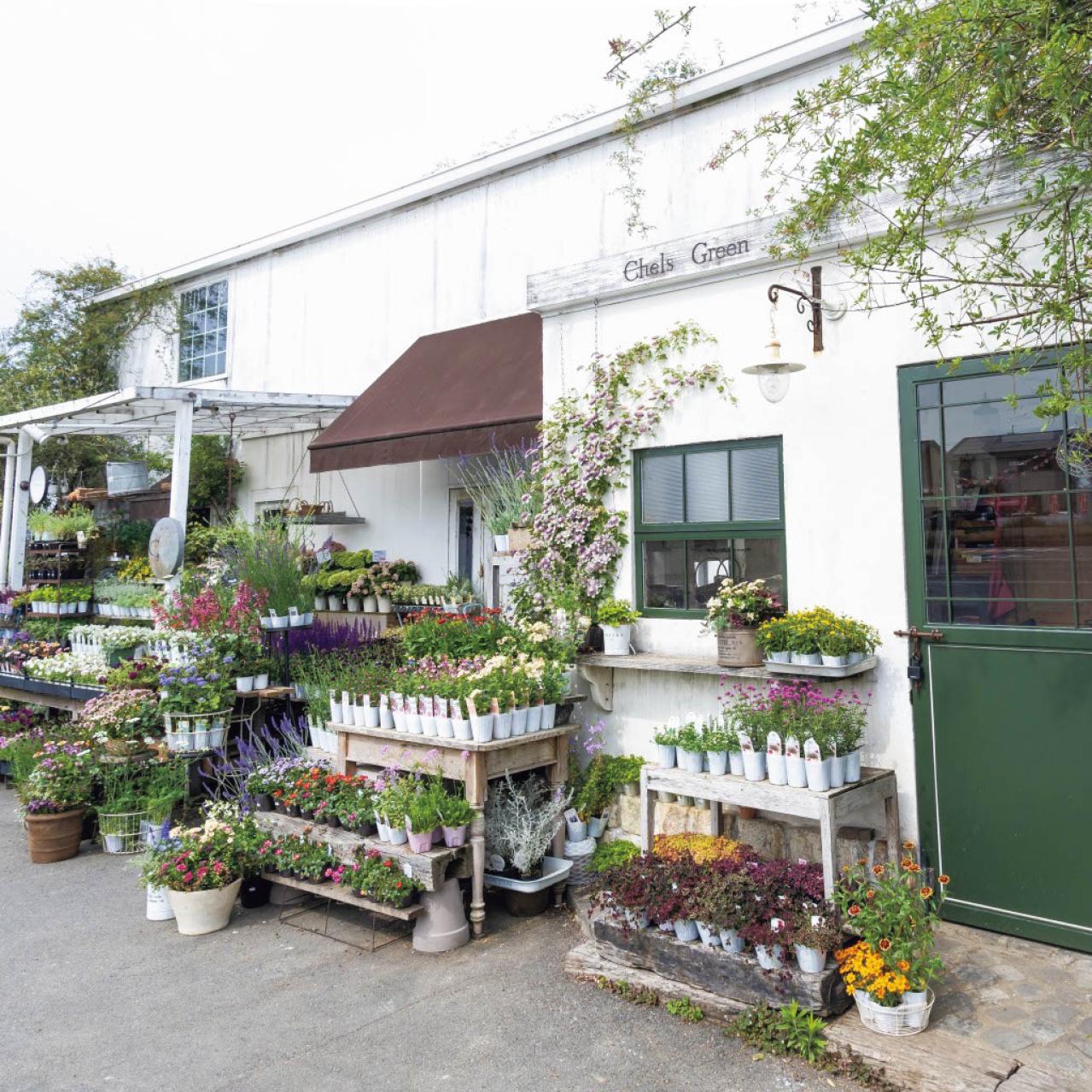 センスのよさがインスタで話題！ 園芸店「Chels Green」の【ケイトウが主役の秋の寄せ植え】（画像4）