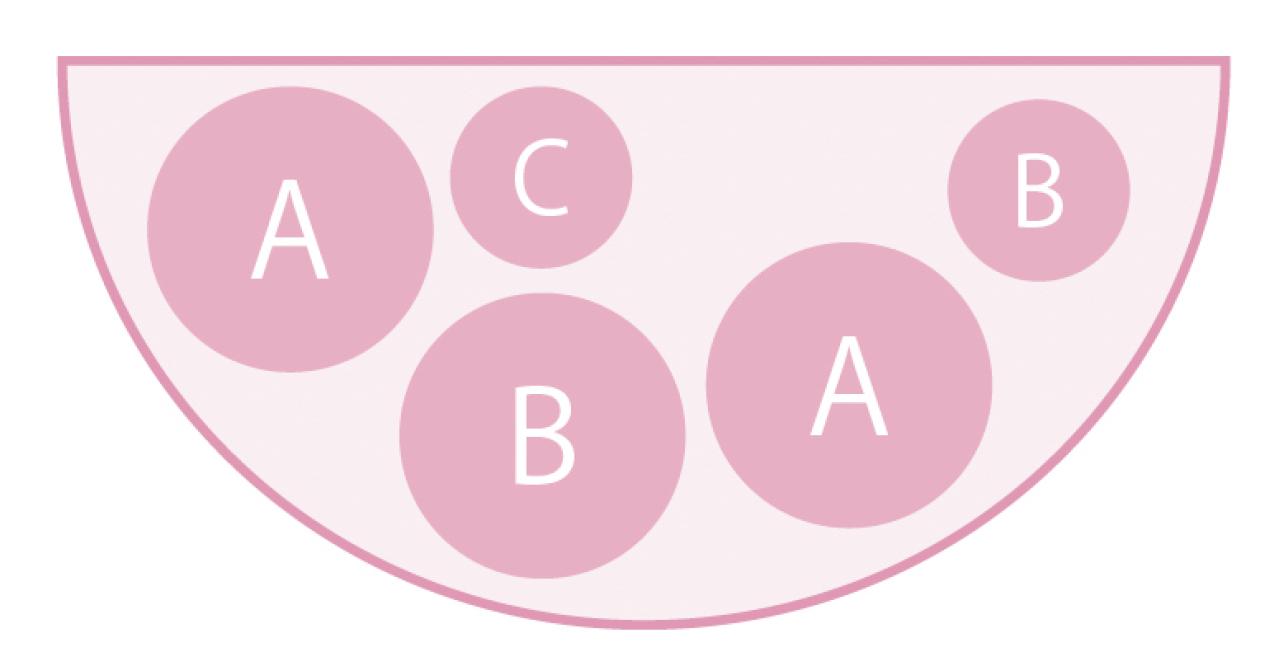 壁にかけて楽しむ【ビオラの寄せ植え】つる性植物で躍動感をプラス（画像4）