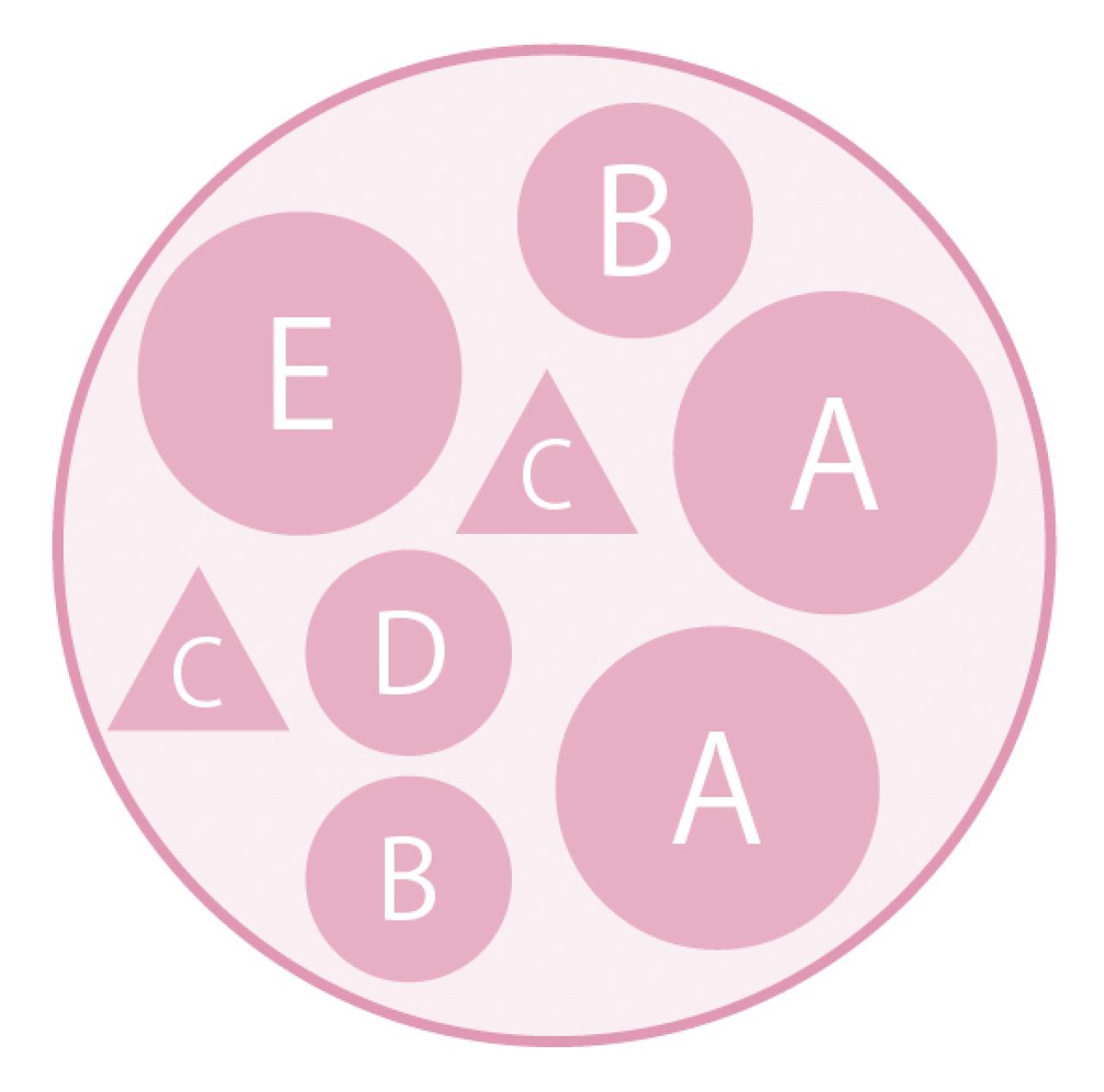 ニュアンスカラーの花色がおしゃれな【ビオラの寄せ植え】個性的な鉢もポイント（画像4）