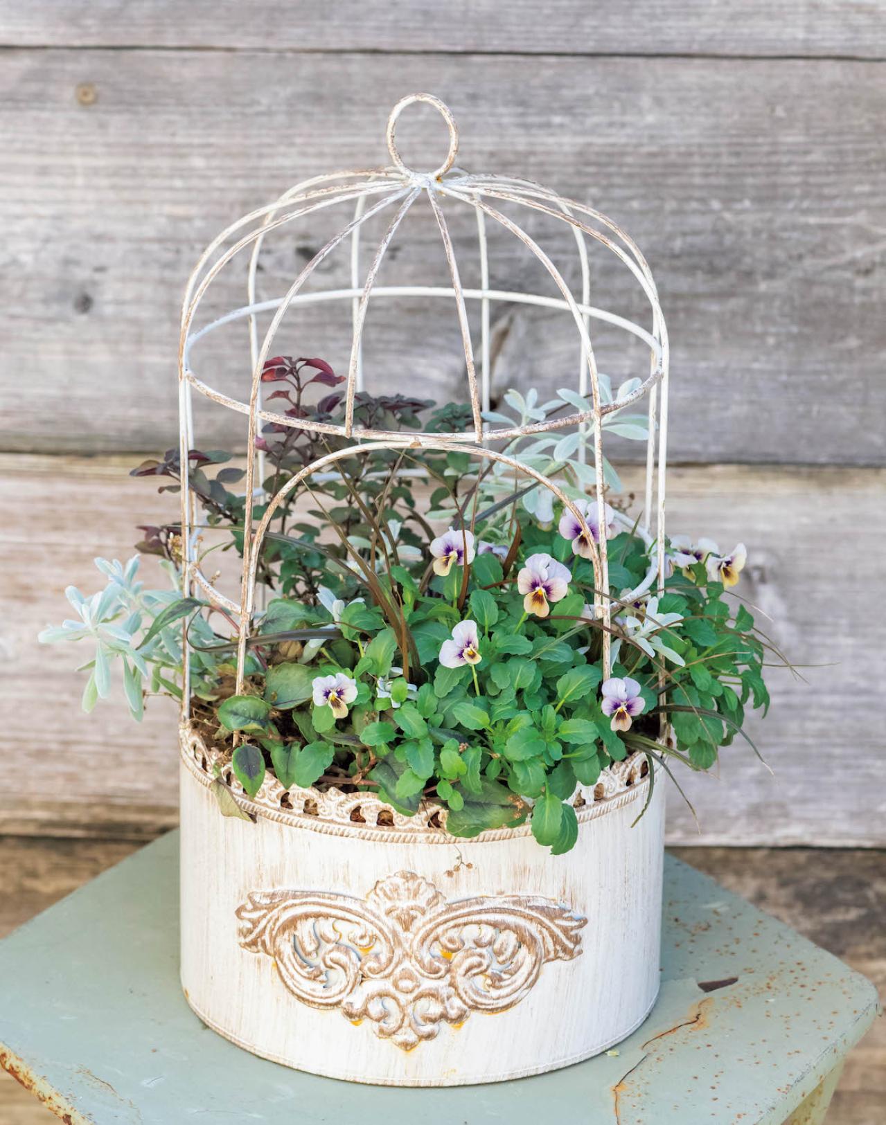 ニュアンスカラーの花色がおしゃれな【ビオラの寄せ植え】個性的な鉢もポイント（画像2）