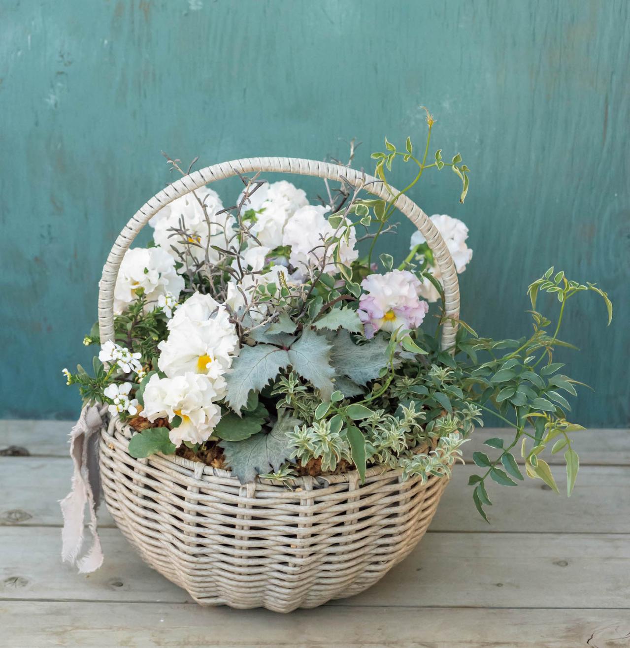 まるで花束のような【パンジー・ビオラの寄せ植え】持ち手つきのバスケットでプレゼントにも◎（画像8）