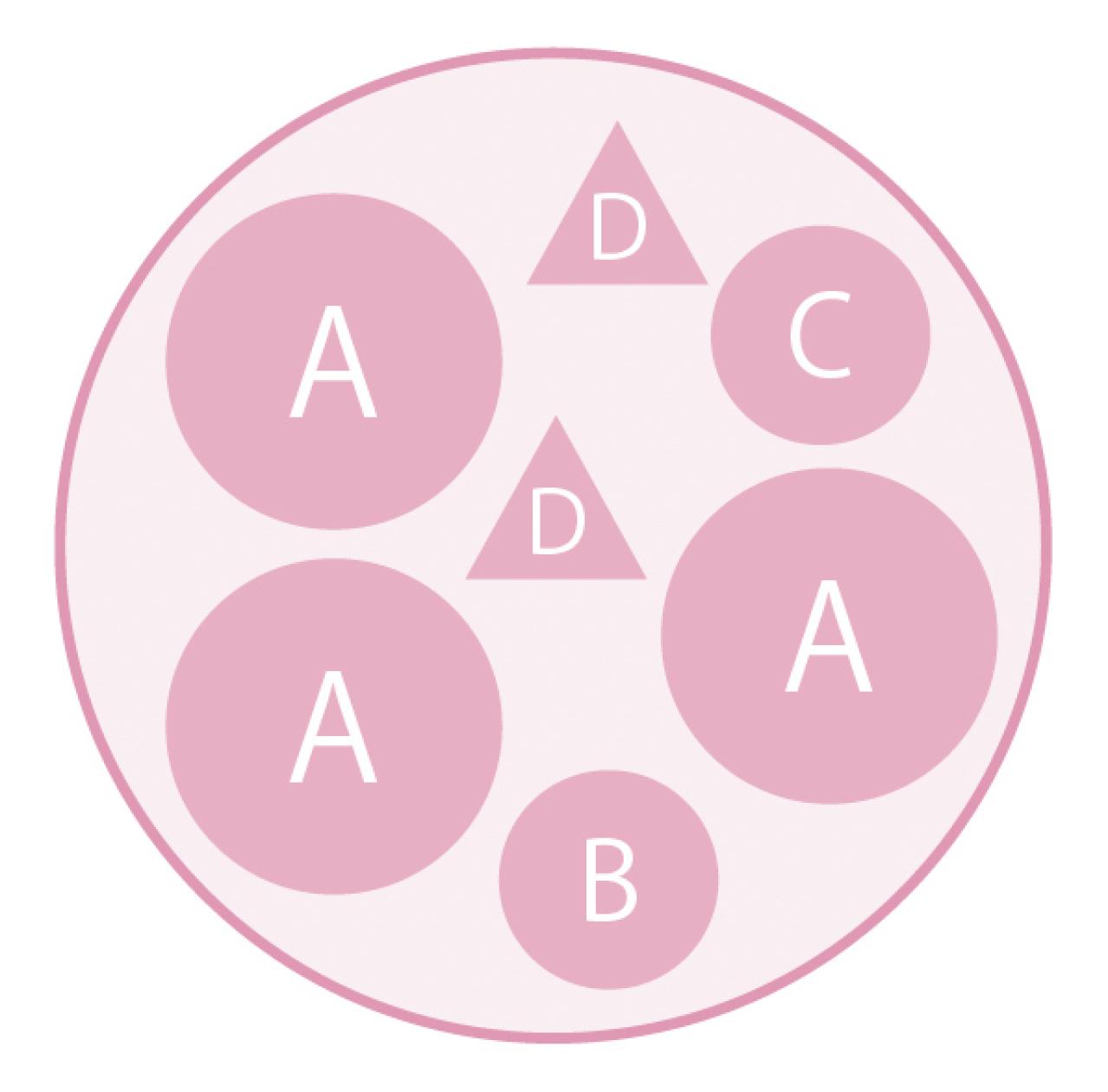 まるで花束のような【パンジー・ビオラの寄せ植え】持ち手つきのバスケットでプレゼントにも◎（画像4）