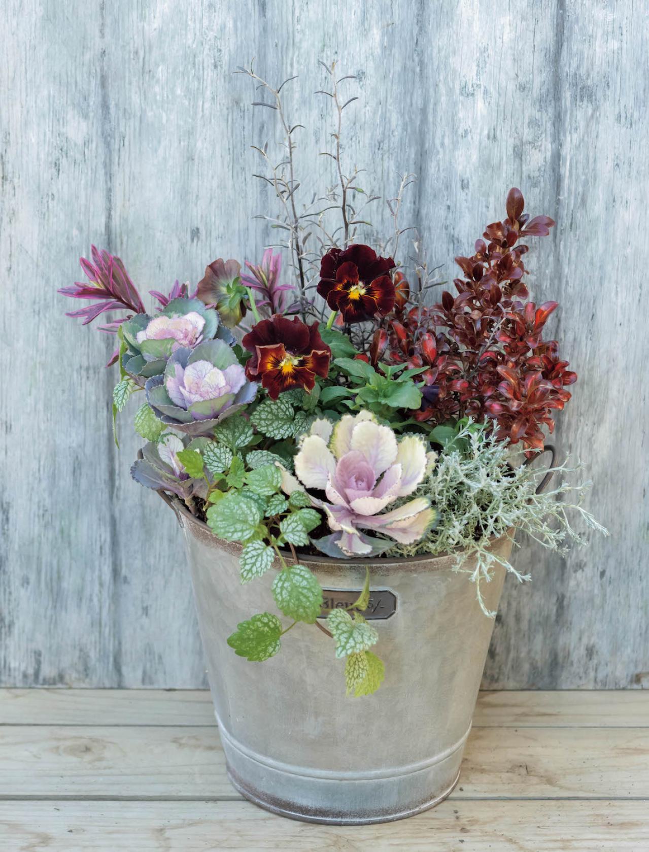 大人シックな雰囲気の【パンジー・ビオラの寄せ植え】フリルの花弁でフェミニンに（画像8）