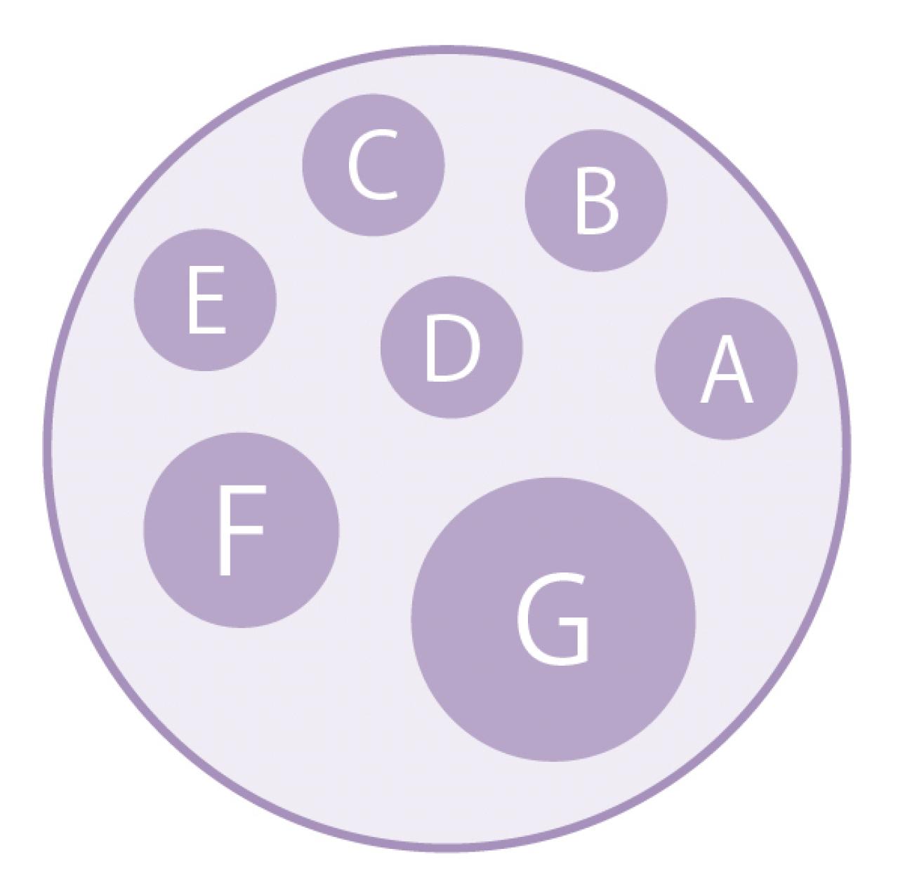 今すぐ作りたい！ 秋らしい花色の【ビオラの寄せ植え】春まで長く花を楽しむ（画像7）