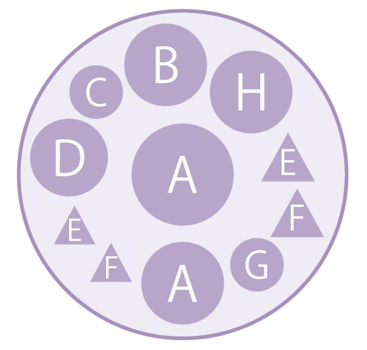 大人シックな雰囲気の【パンジー・ビオラの寄せ植え】フリルの花弁でフェミニンに（画像7）