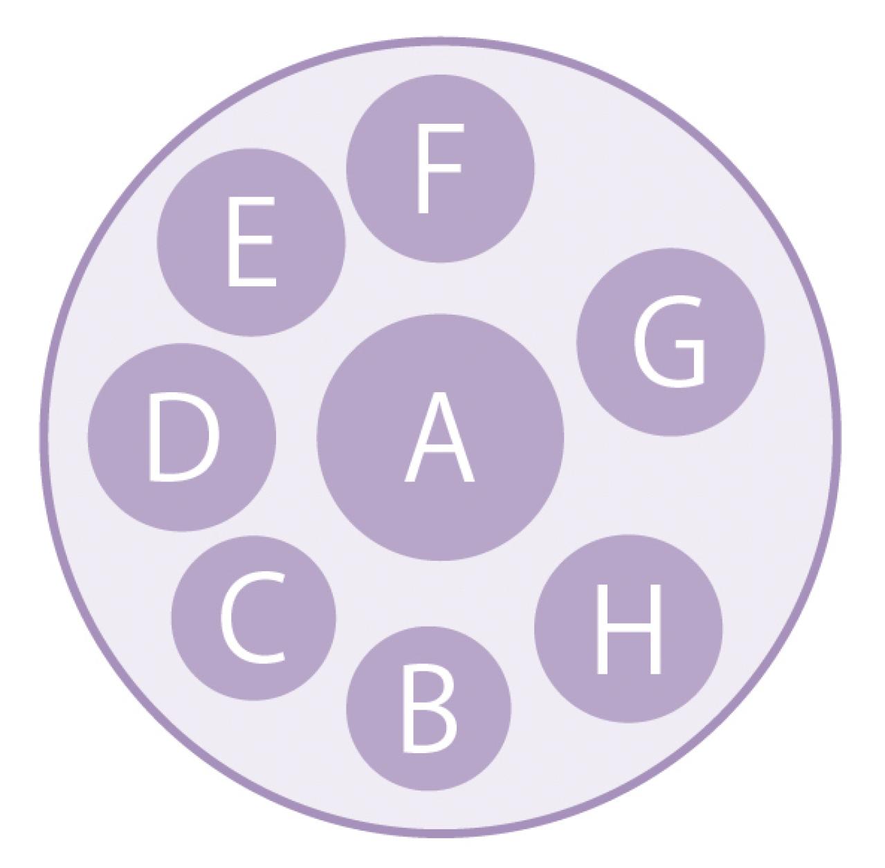 大人シックな雰囲気の【パンジー・ビオラの寄せ植え】フリルの花弁でフェミニンに（画像10）