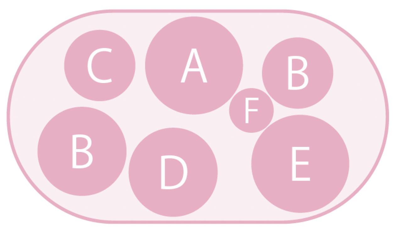 最新の品種で作る【ビオラの寄せ植え】リーフ類の組み合わせ方にも注目！（画像4）