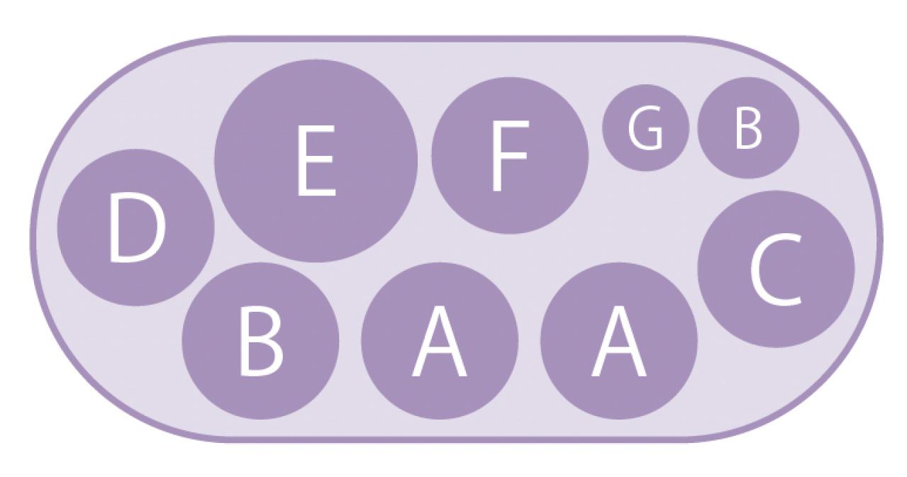 今すぐ作りたい！ 秋らしい花色の【ビオラの寄せ植え】春まで長く花を楽しむ（画像4）