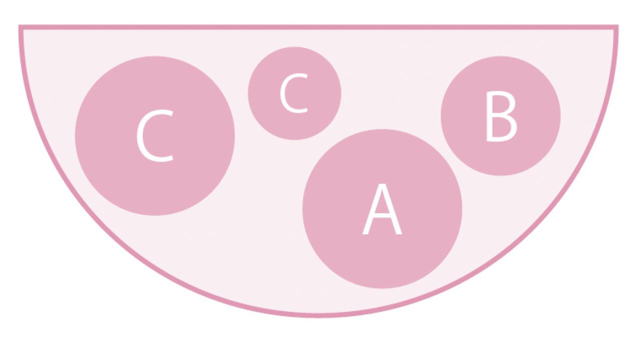 壁にかけて楽しむ【ビオラの寄せ植え】つる性植物で躍動感をプラス（画像7）