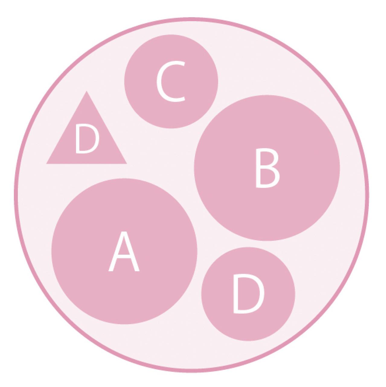 最新の品種で作る【ビオラの寄せ植え】リーフ類の組み合わせ方にも注目！（画像11）