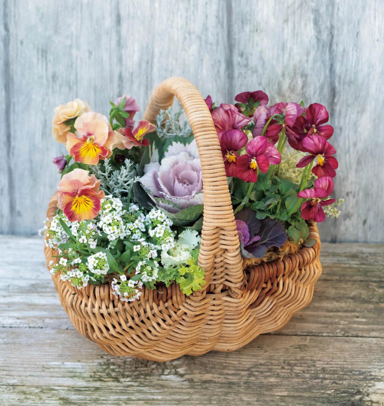 まるで花束のような【パンジー・ビオラの寄せ植え】持ち手つきのバスケットでプレゼントにも◎（画像5）