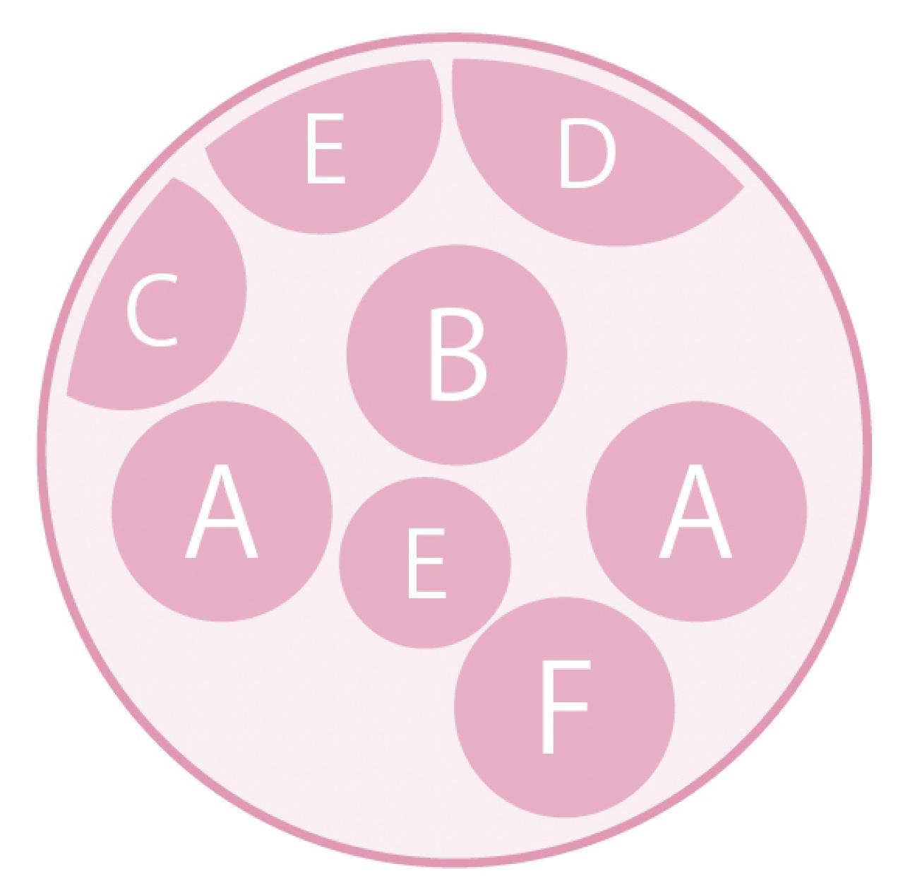 大人シックな雰囲気の【パンジー・ビオラの寄せ植え】フリルの花弁でフェミニンに（画像4）