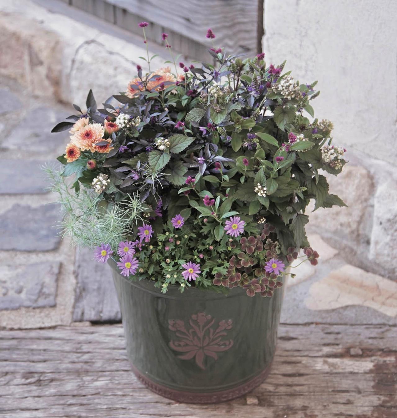 センス抜群！ シックな印象の【秋の寄せ植え】インスタで話題の園芸店「Chels Green」が提案（画像2）