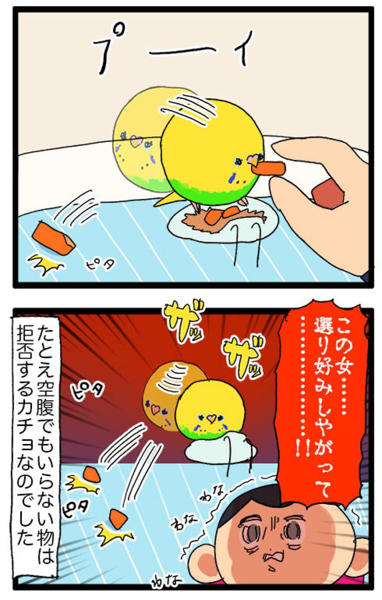 観覧車で大ハプニング!? おもちゃに挟まるインコの受難【鳥マンガ #138】（画像5）
