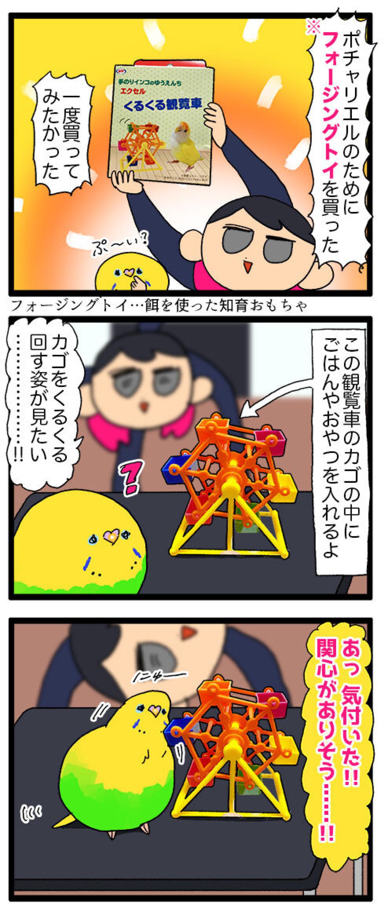 観覧車で大ハプニング!? おもちゃに挟まるインコの受難【鳥マンガ #138】（画像6）