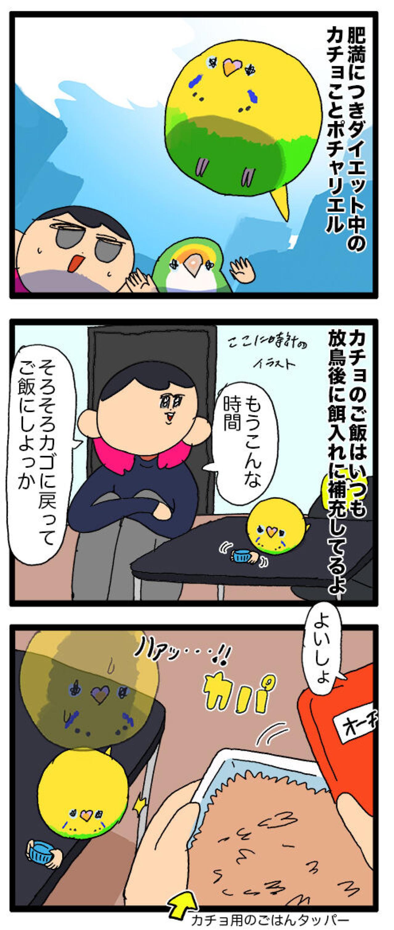 食べたい、真似したい、かわいすぎ！ダイエット中のセキセイインコ奮闘記【鳥マンガ #137】（画像4）