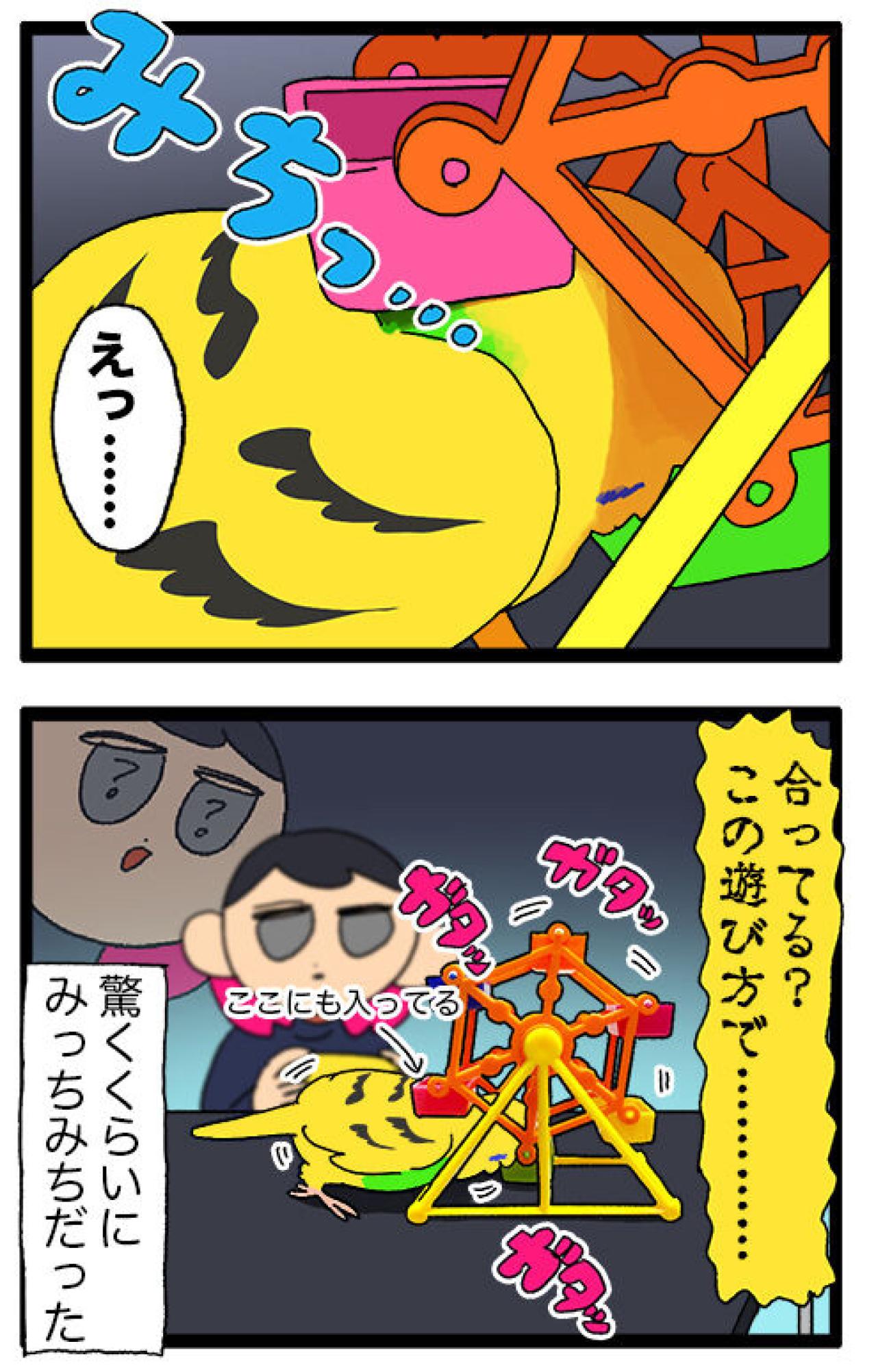 観覧車で大ハプニング!? おもちゃに挟まるインコの受難【鳥マンガ #138】（画像7）