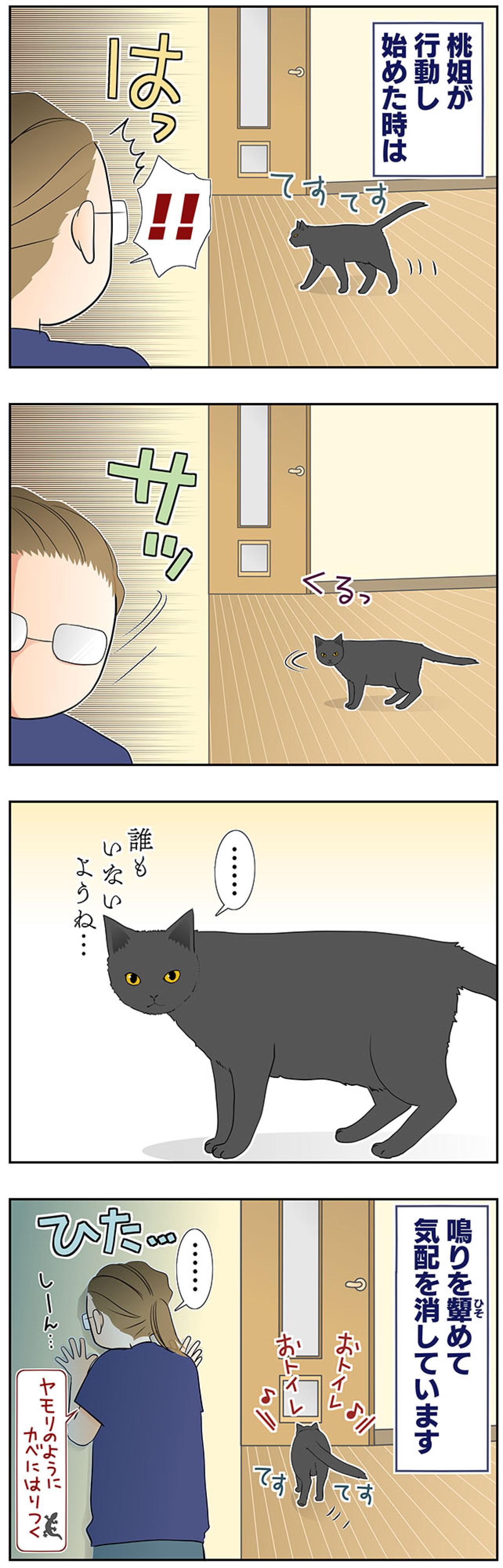 【マンガ・老猫日誌＃44】老猫が行動する時の心得！？19歳の元保護猫・桃姐（画像4）
