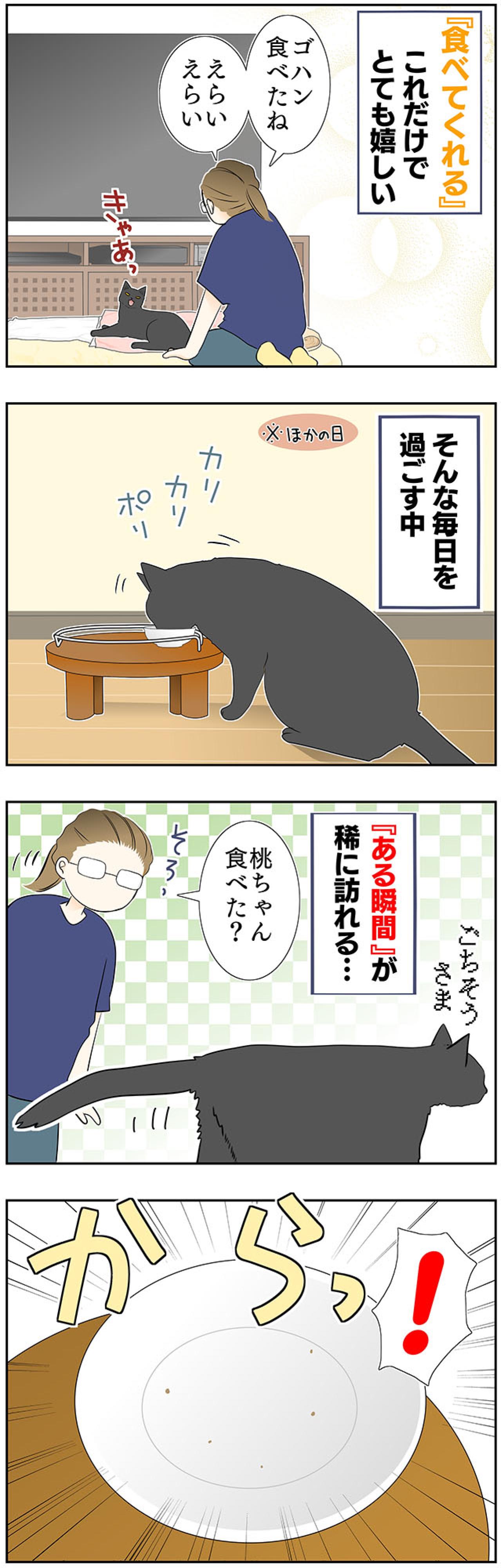 【マンガ・老猫日誌＃43】老猫の奇跡？な出来事〜19歳の元保護猫・桃姐（画像3）