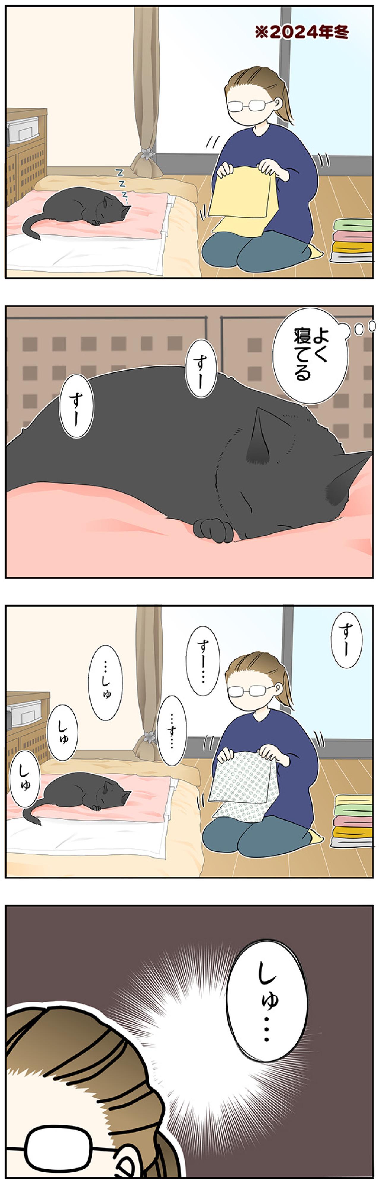 【マンガ・老猫日誌＃38】寝てる時の寝息が まさかのホラー！？19歳の元保護猫・桃姐（画像2）