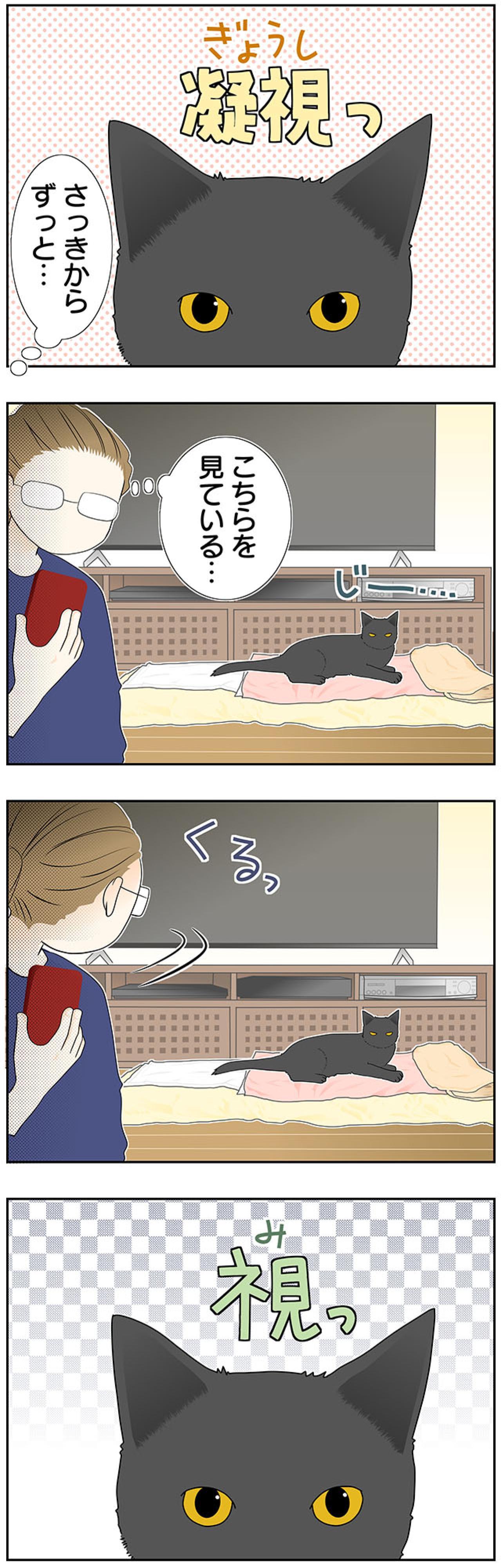 【マンガ・老猫日誌＃40】ジッと見つめてくる そのワケは！？19歳の元保護猫・桃姐（画像2）