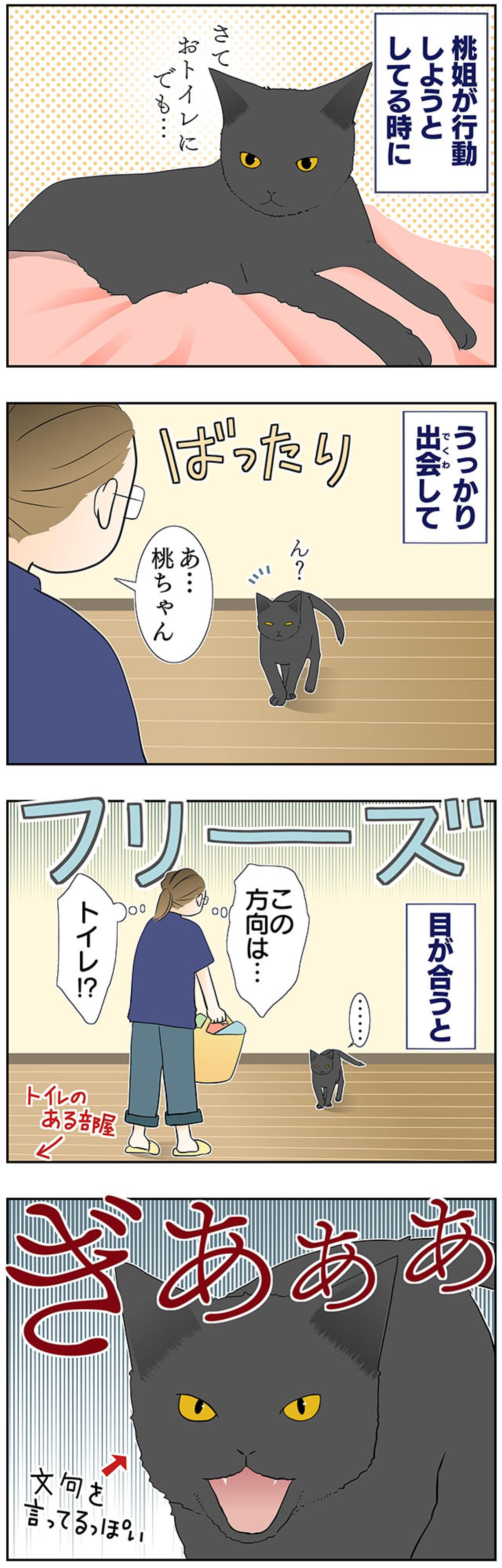 【マンガ・老猫日誌＃44】老猫が行動する時の心得！？19歳の元保護猫・桃姐（画像2）